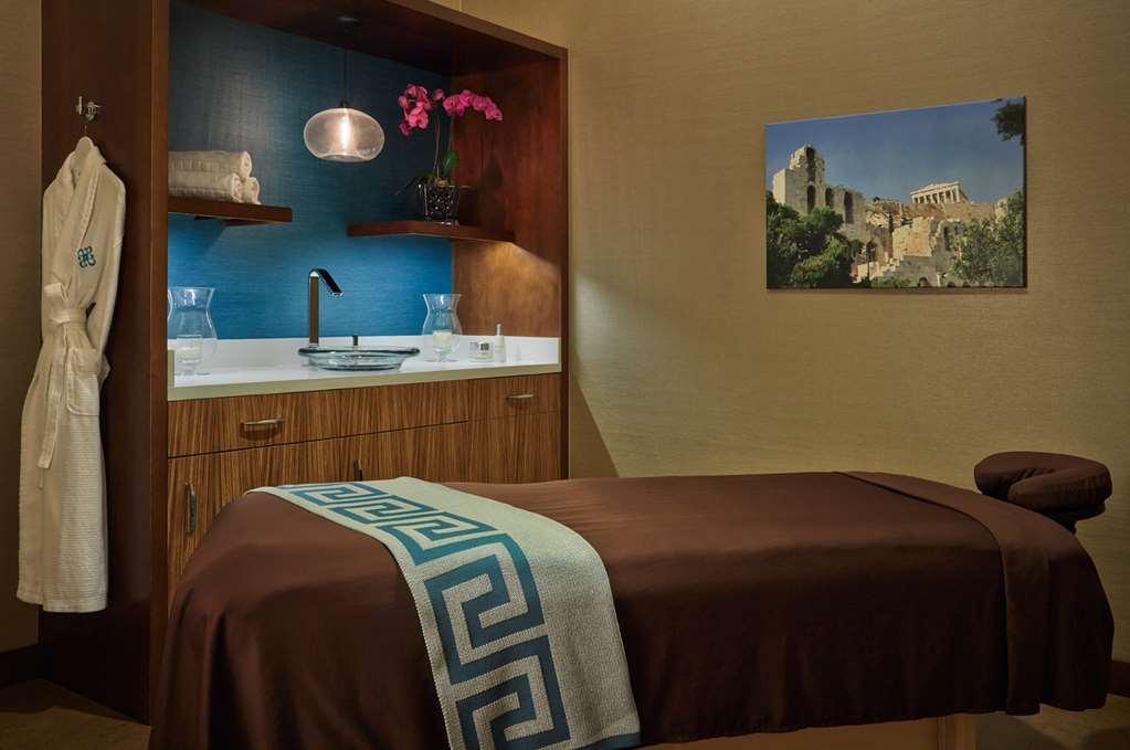 Hotel Arista Naperville Faciliteter billede